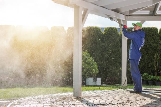 Best Pool Deck Cleaning  in Rincon Valley, AZ